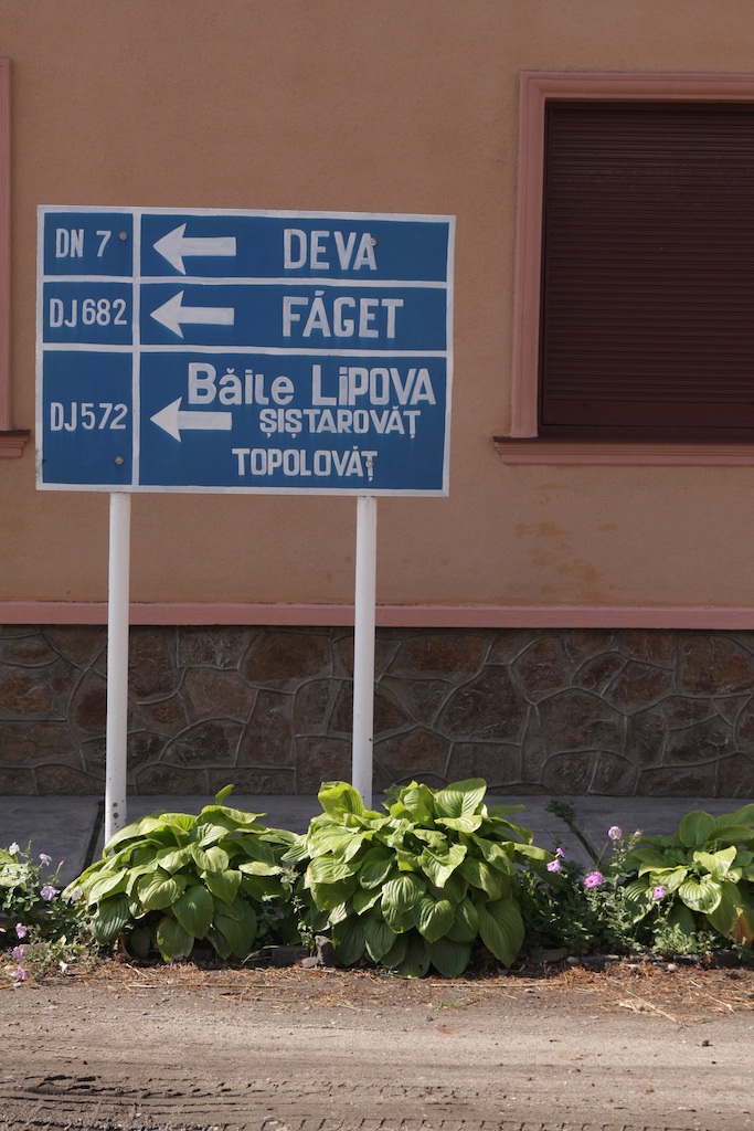 Lipova 7